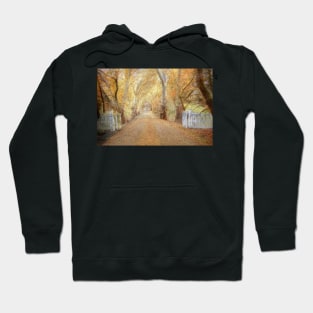 Colours of Autumn - Blakiston, The Adelaide Hills, SA Hoodie